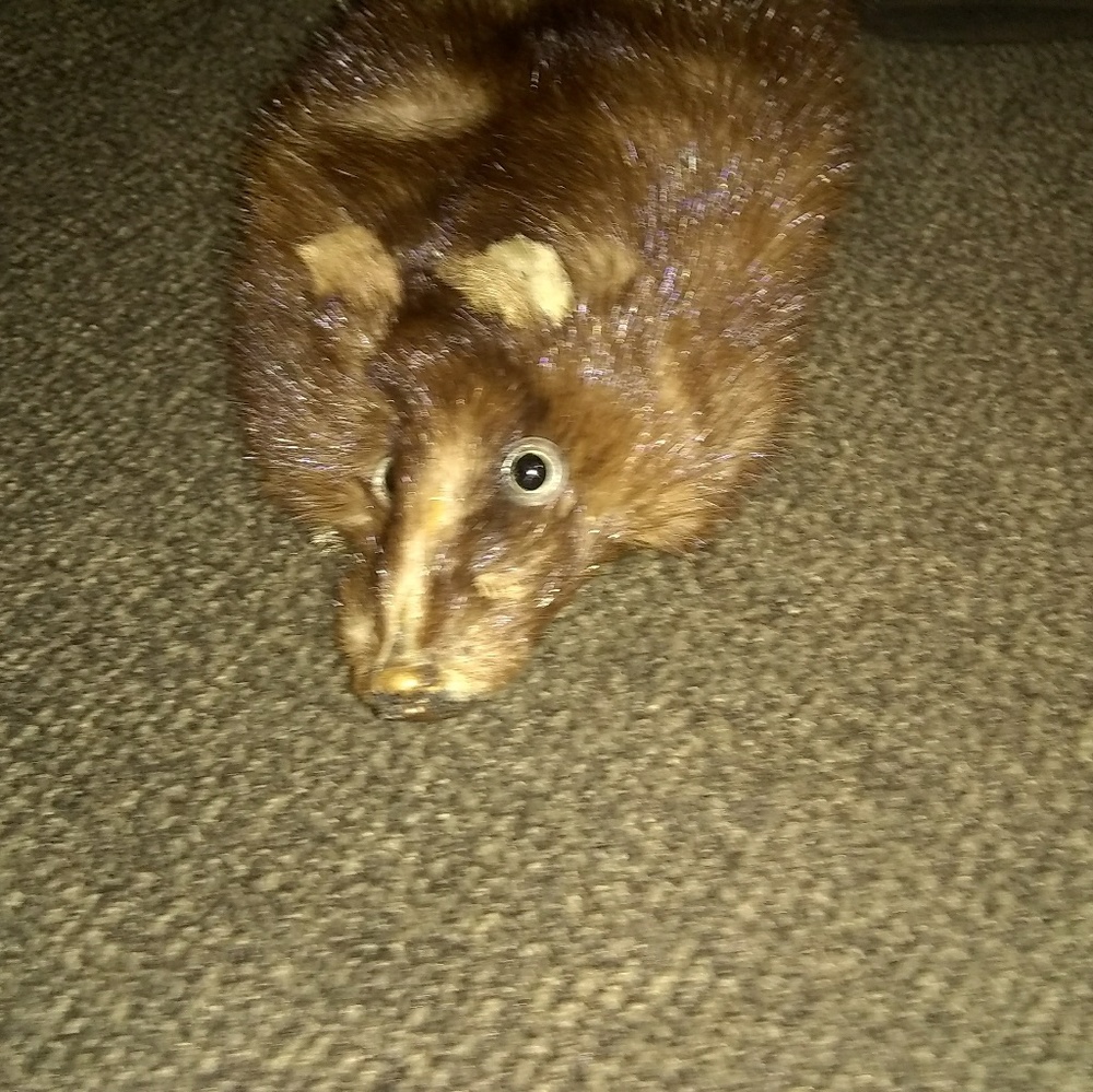 Fur